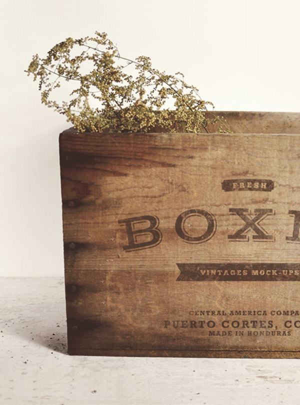 pin-catacomb-collection